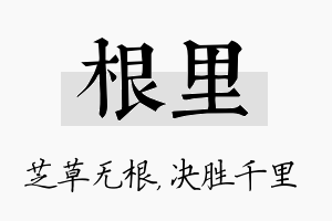 根里名字的寓意及含义