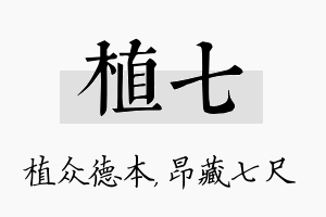 植七名字的寓意及含义