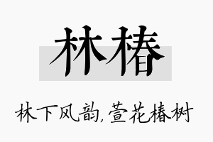 林椿名字的寓意及含义