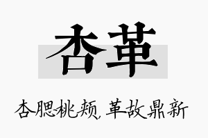 杏革名字的寓意及含义