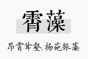 霄藻名字的寓意及含义