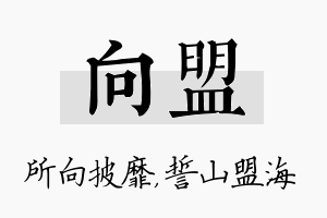 向盟名字的寓意及含义