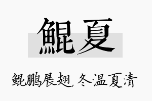 鲲夏名字的寓意及含义