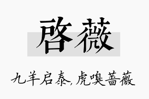 启薇名字的寓意及含义