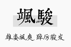 飒骏名字的寓意及含义