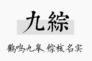 九综名字的寓意及含义