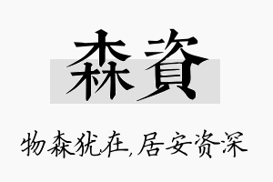 森资名字的寓意及含义