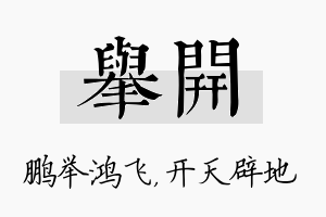 举开名字的寓意及含义