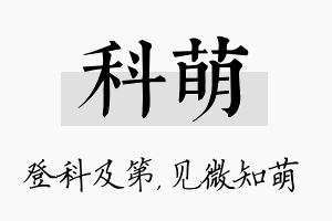 科萌名字的寓意及含义