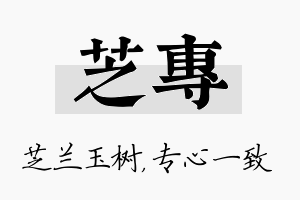 芝专名字的寓意及含义