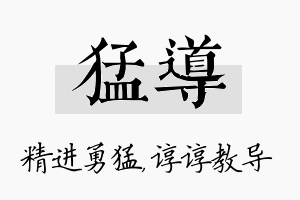 猛导名字的寓意及含义