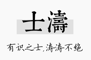 士涛名字的寓意及含义