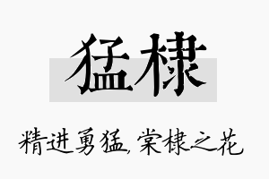 猛棣名字的寓意及含义