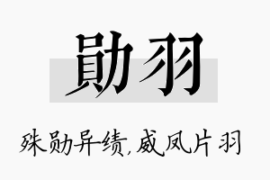 勋羽名字的寓意及含义