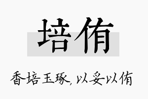 培侑名字的寓意及含义