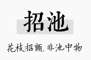 招池名字的寓意及含义