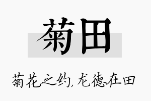 菊田名字的寓意及含义