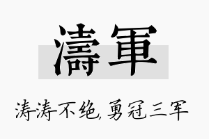 涛军名字的寓意及含义