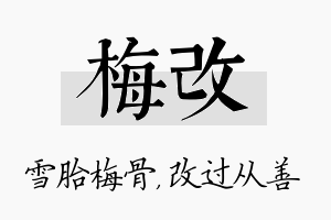 梅改名字的寓意及含义