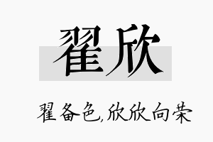 翟欣名字的寓意及含义