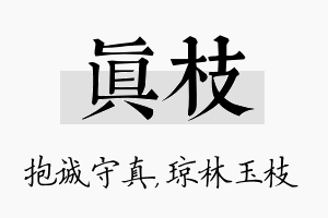 真枝名字的寓意及含义