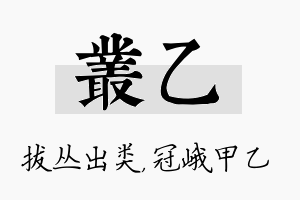 丛乙名字的寓意及含义