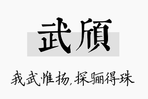 武颀名字的寓意及含义