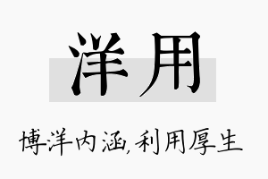 洋用名字的寓意及含义