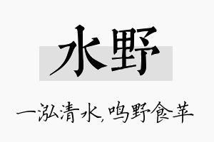 水野名字的寓意及含义