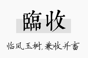 临收名字的寓意及含义