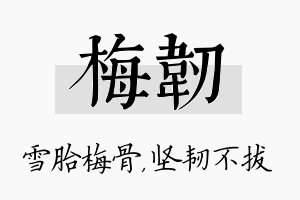 梅韧名字的寓意及含义