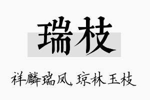 瑞枝名字的寓意及含义