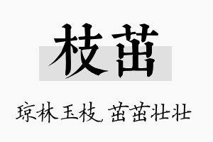 枝茁名字的寓意及含义