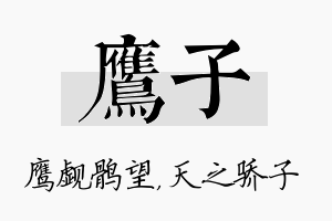 鹰子名字的寓意及含义