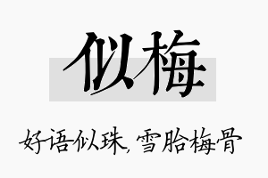 似梅名字的寓意及含义