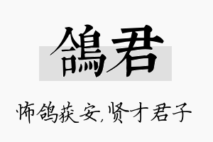 鸽君名字的寓意及含义