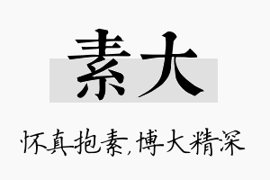 素大名字的寓意及含义