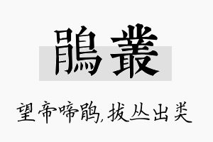 鹃丛名字的寓意及含义