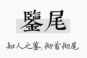 鉴尾名字的寓意及含义