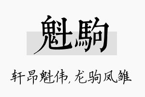 魁驹名字的寓意及含义