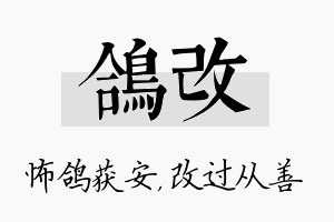 鸽改名字的寓意及含义