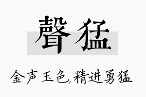 声猛名字的寓意及含义