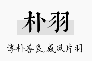 朴羽名字的寓意及含义