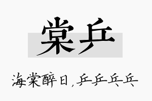 棠乒名字的寓意及含义