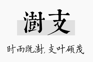 澍支名字的寓意及含义