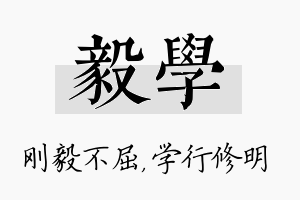 毅学名字的寓意及含义