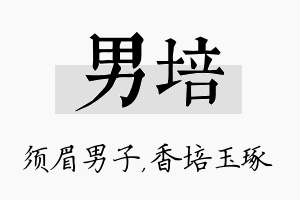 男培名字的寓意及含义