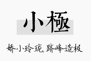 小极名字的寓意及含义