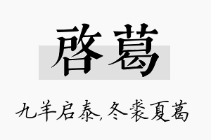 启葛名字的寓意及含义