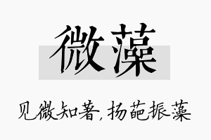 微藻名字的寓意及含义